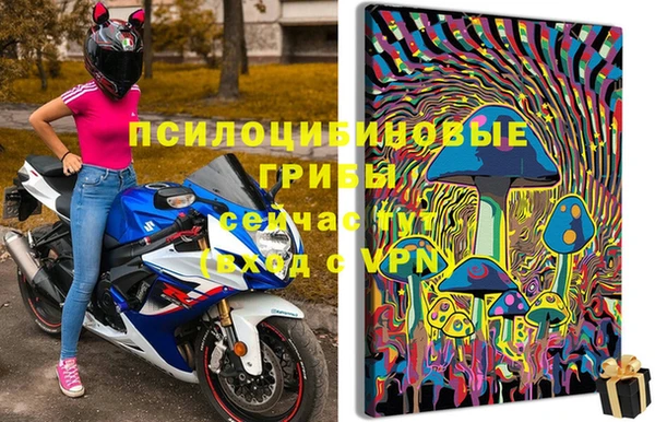 каннабис Алзамай